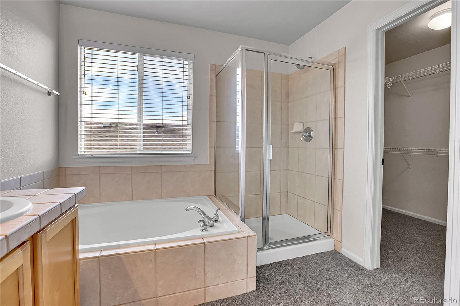 MLS Image #26 for 10115  foxridge court,highlands ranch, Colorado