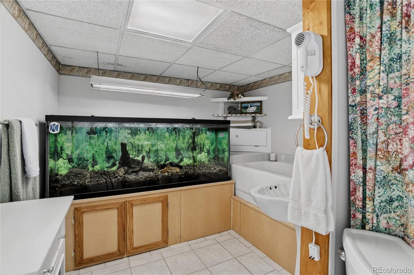 MLS Image #26 for 1425  shoshone trail,elizabeth, Colorado