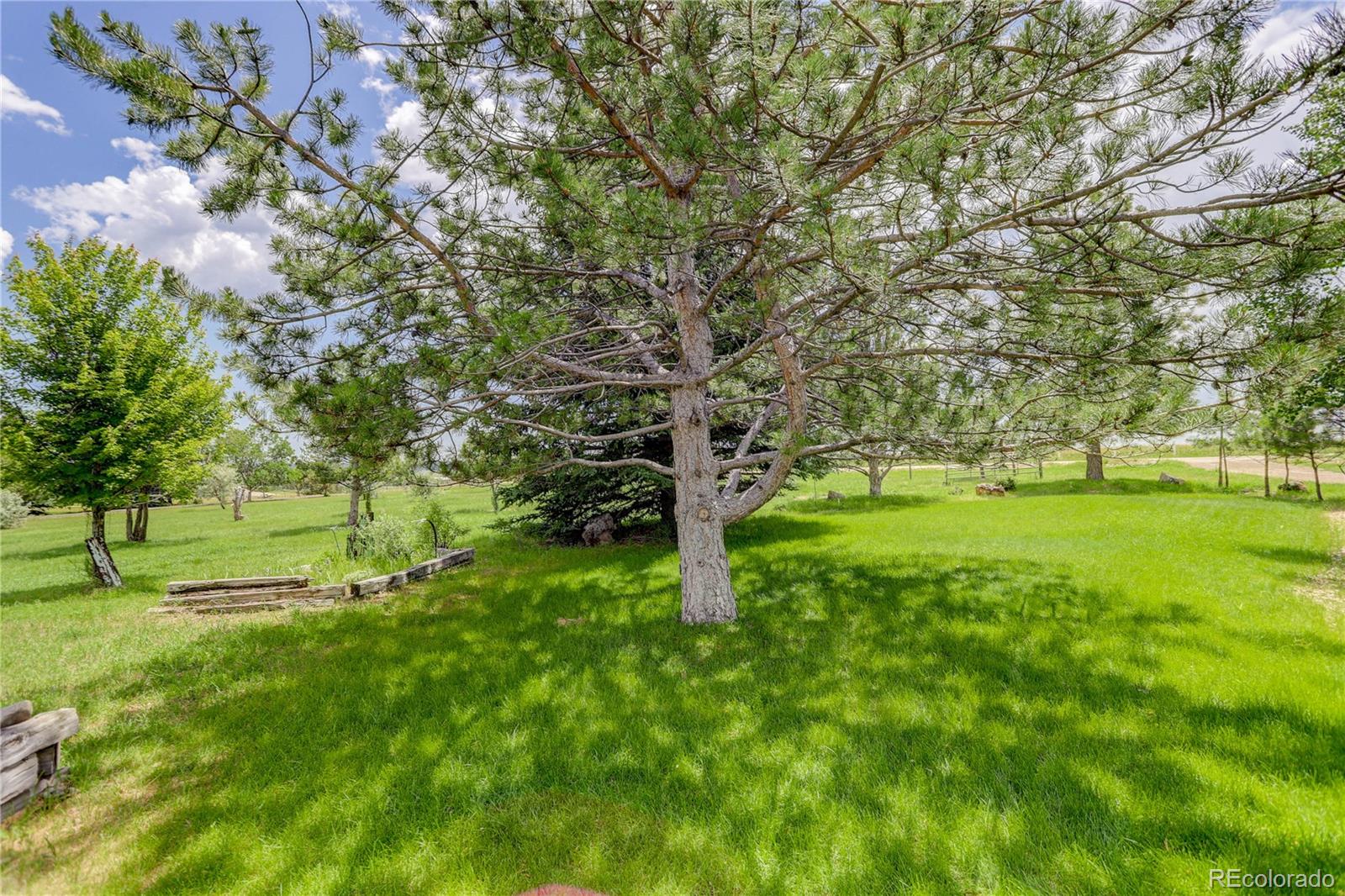 MLS Image #5 for 1425  shoshone trail,elizabeth, Colorado