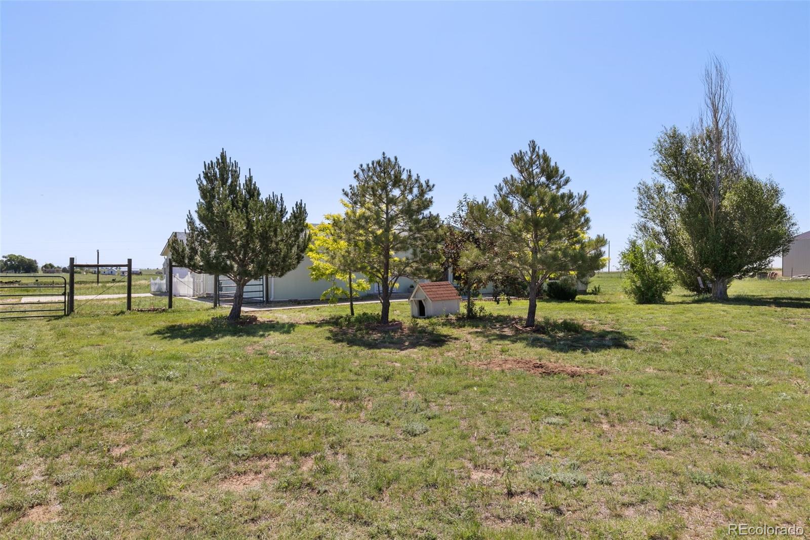 MLS Image #38 for 5879  sue ellen drive,peyton, Colorado