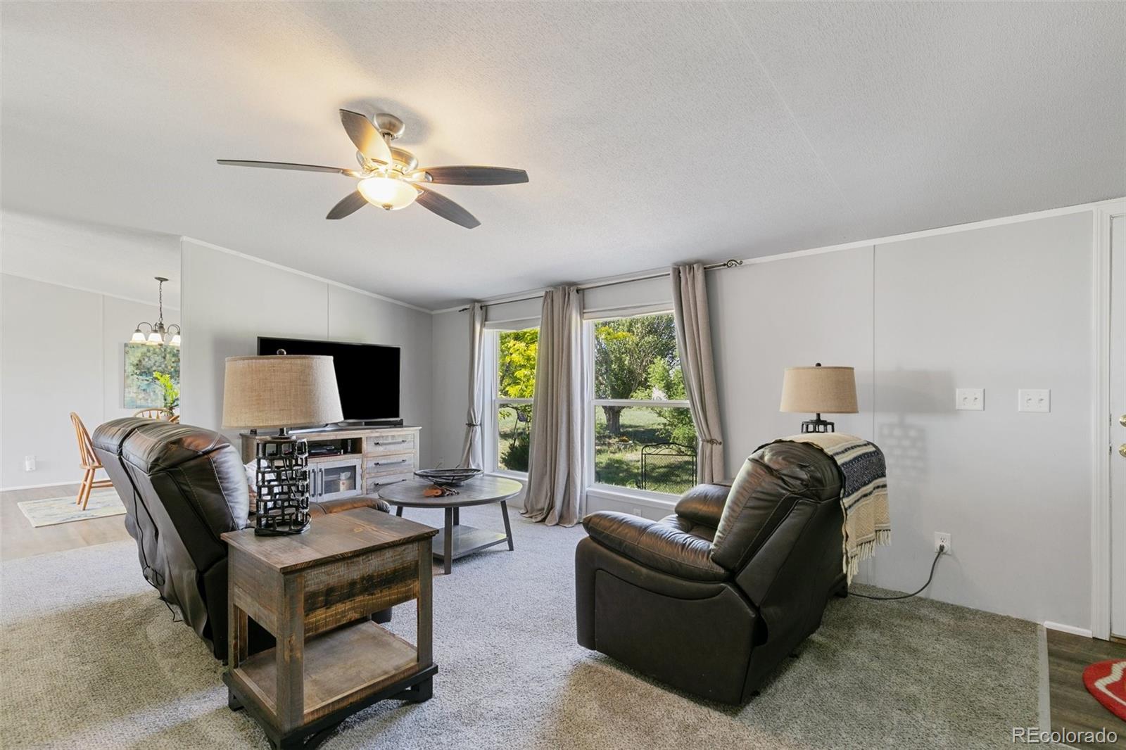 MLS Image #4 for 5879  sue ellen drive,peyton, Colorado