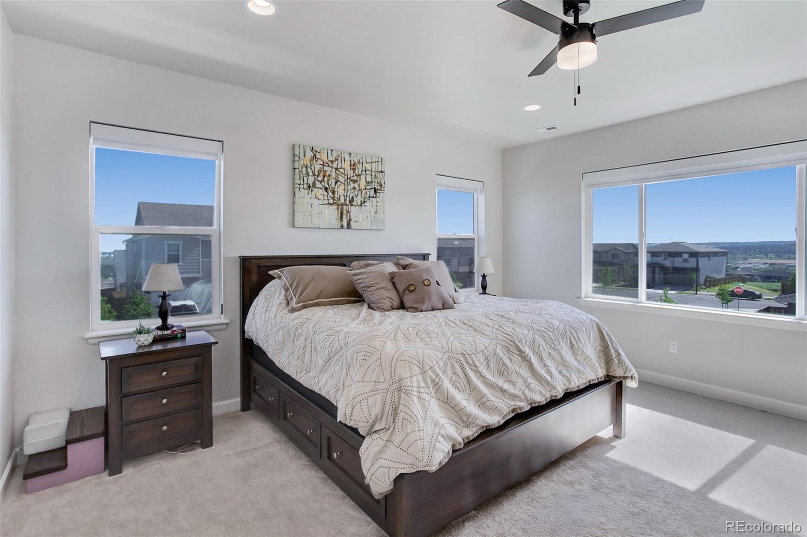 MLS Image #19 for 14290  hop clover street,parker, Colorado