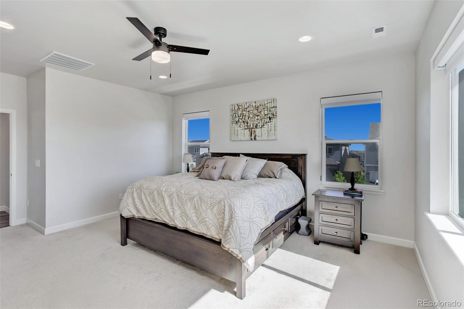 MLS Image #21 for 14290  hop clover street,parker, Colorado