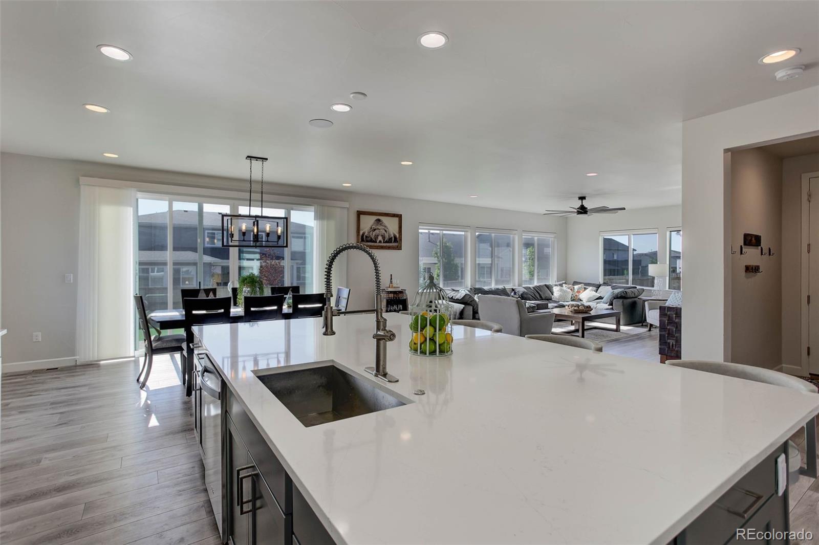 MLS Image #3 for 14290  hop clover street,parker, Colorado