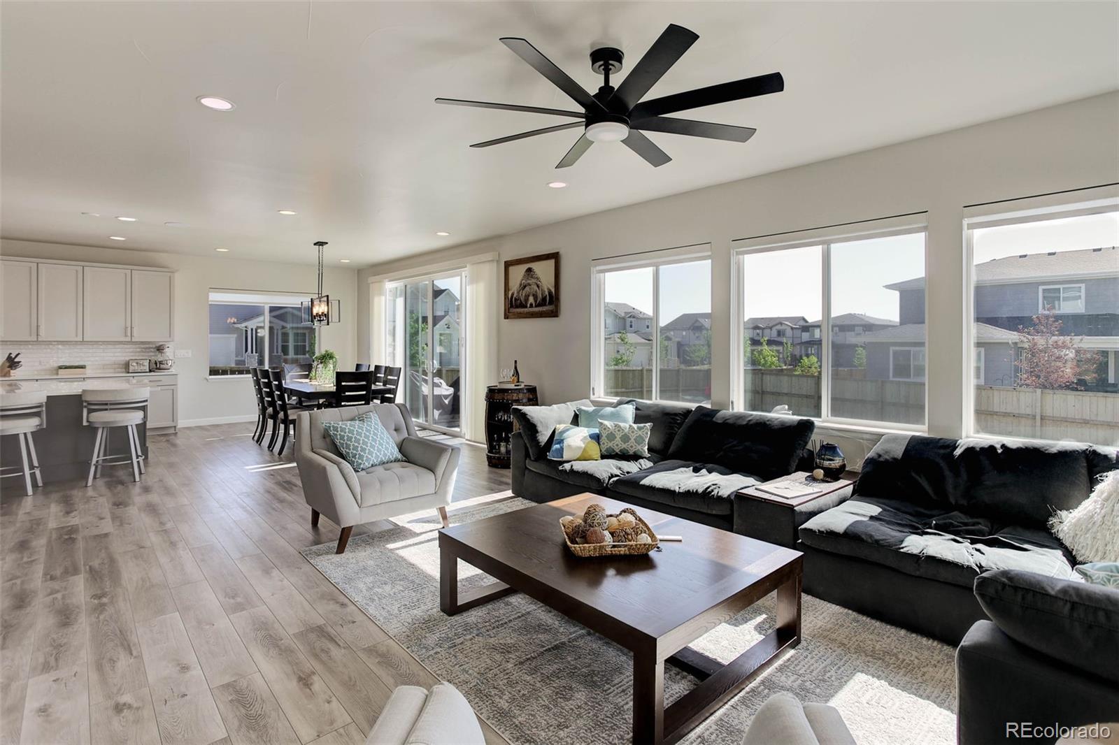 MLS Image #4 for 14290  hop clover street,parker, Colorado