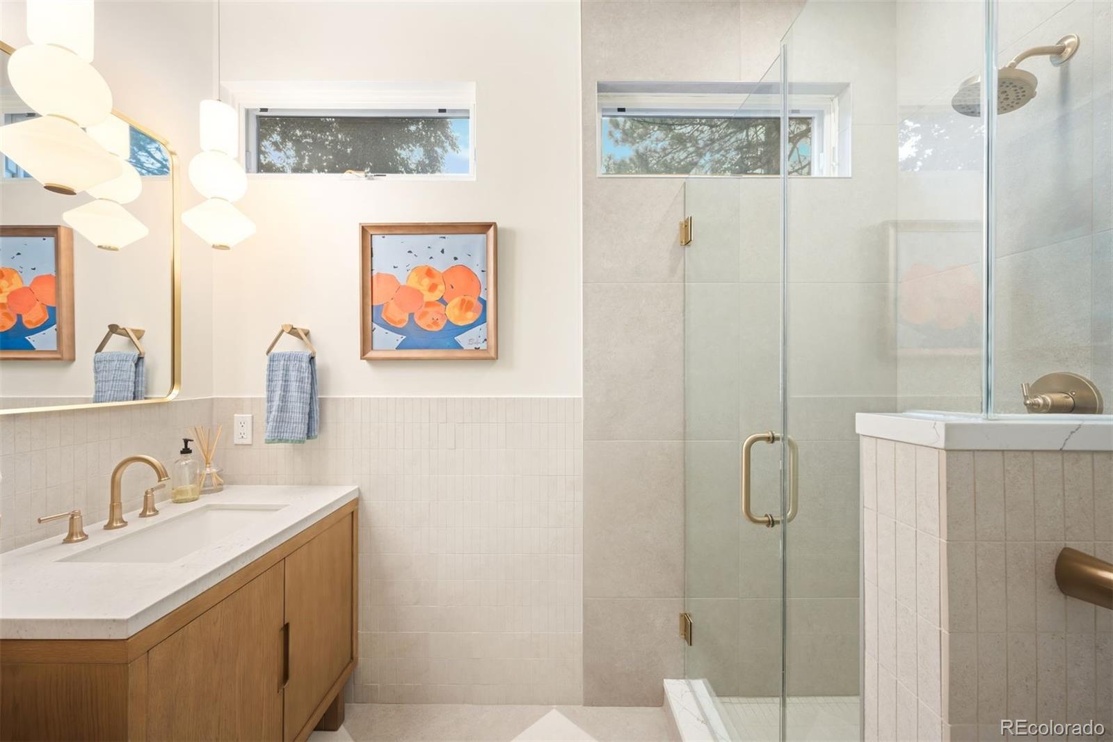 MLS Image #27 for 3220  zuni street,denver, Colorado