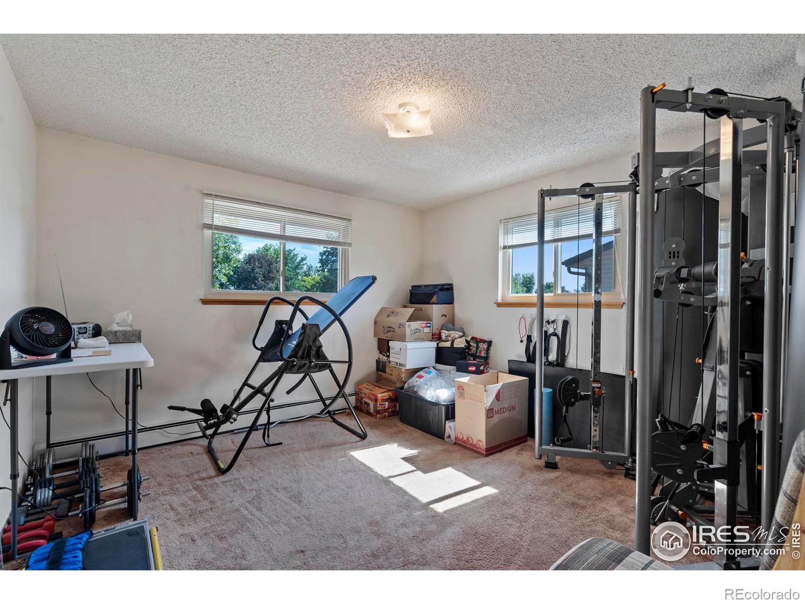MLS Image #16 for 3064  sally ann drive,loveland, Colorado