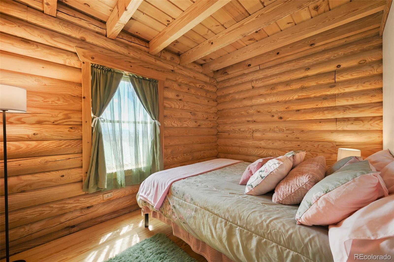 MLS Image #11 for 323  singletree court,hartsel, Colorado