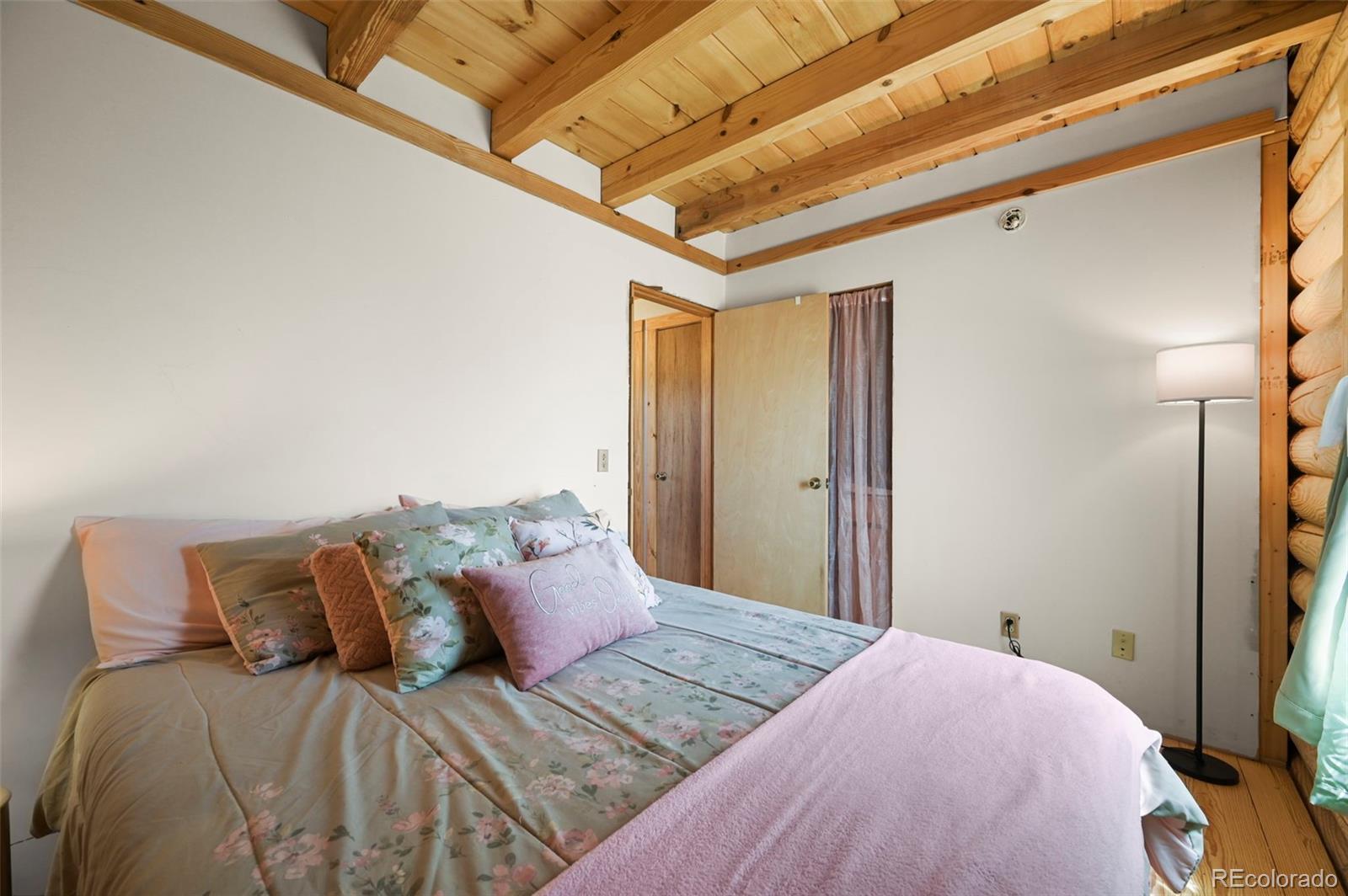 MLS Image #12 for 323  singletree court,hartsel, Colorado
