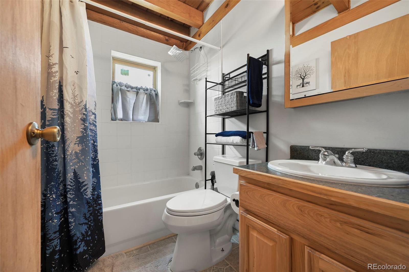 MLS Image #13 for 323  singletree court,hartsel, Colorado