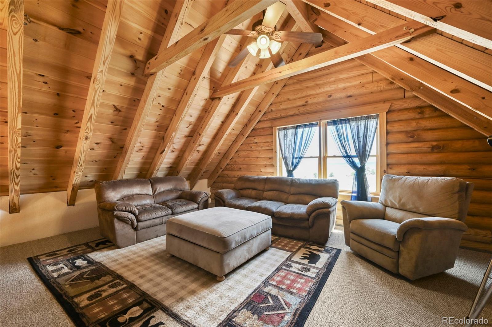 MLS Image #15 for 323  singletree court,hartsel, Colorado