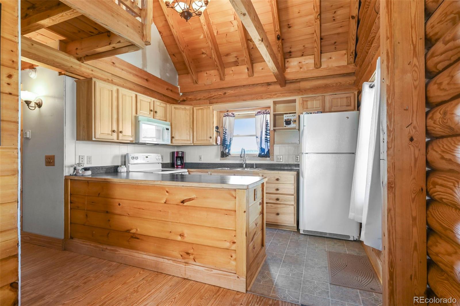 MLS Image #5 for 323  singletree court,hartsel, Colorado