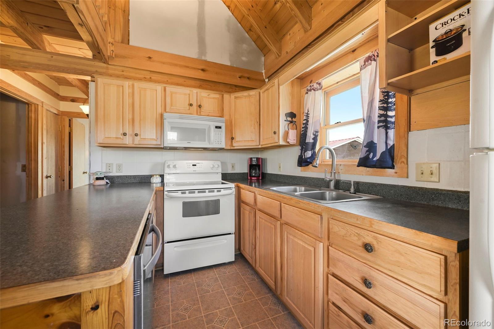 MLS Image #6 for 323  singletree court,hartsel, Colorado