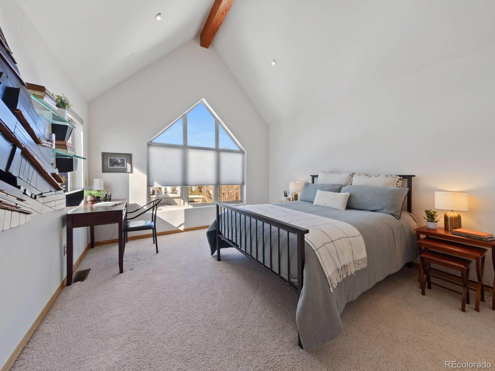 MLS Image #10 for 0251  fawn court,silverthorne, Colorado