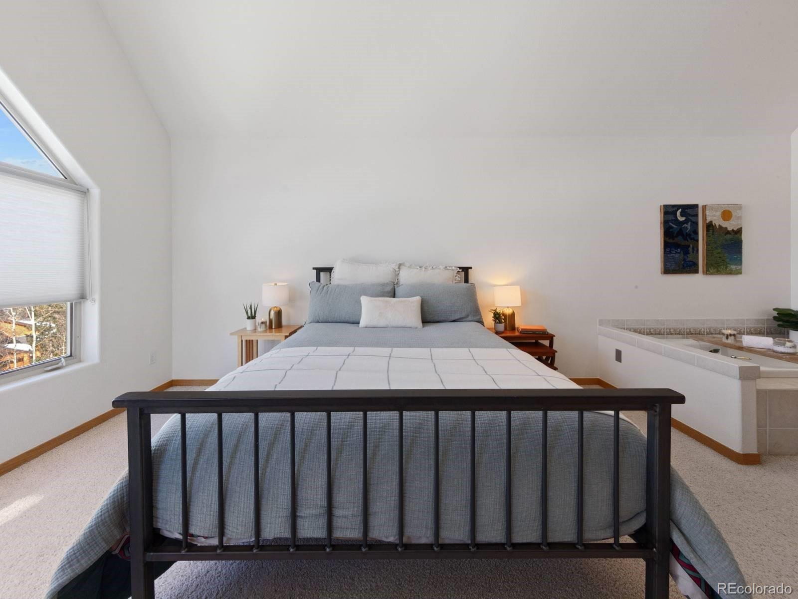 MLS Image #11 for 0251  fawn court,silverthorne, Colorado