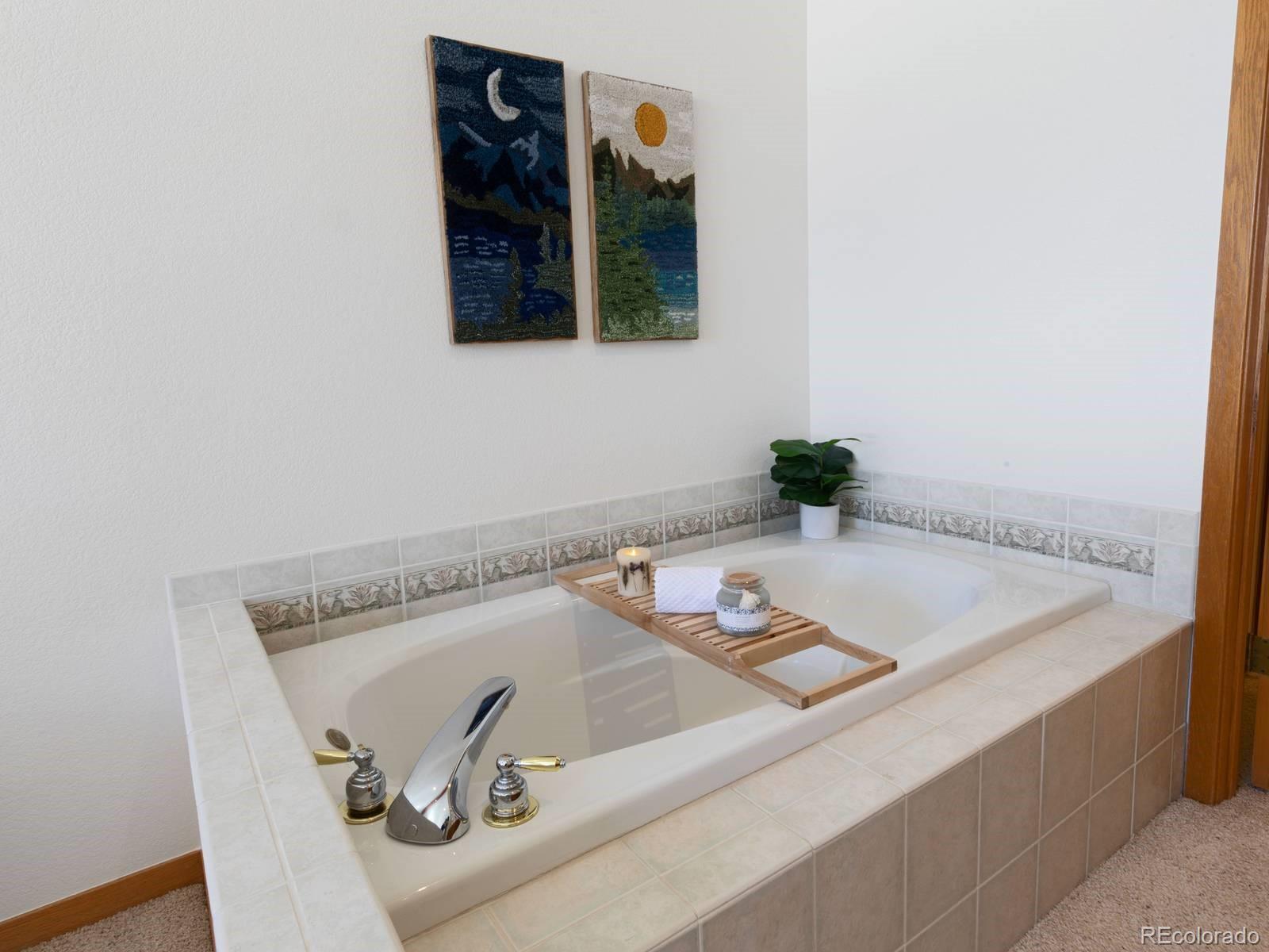 MLS Image #14 for 0251  fawn court,silverthorne, Colorado