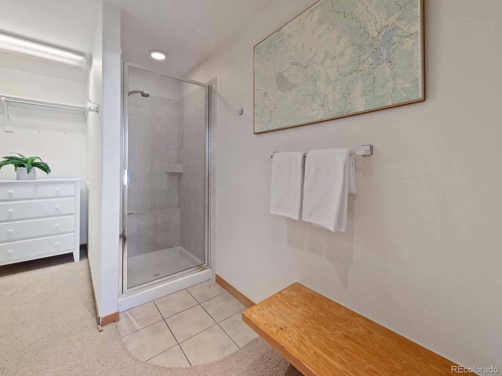 MLS Image #16 for 0251  fawn court,silverthorne, Colorado
