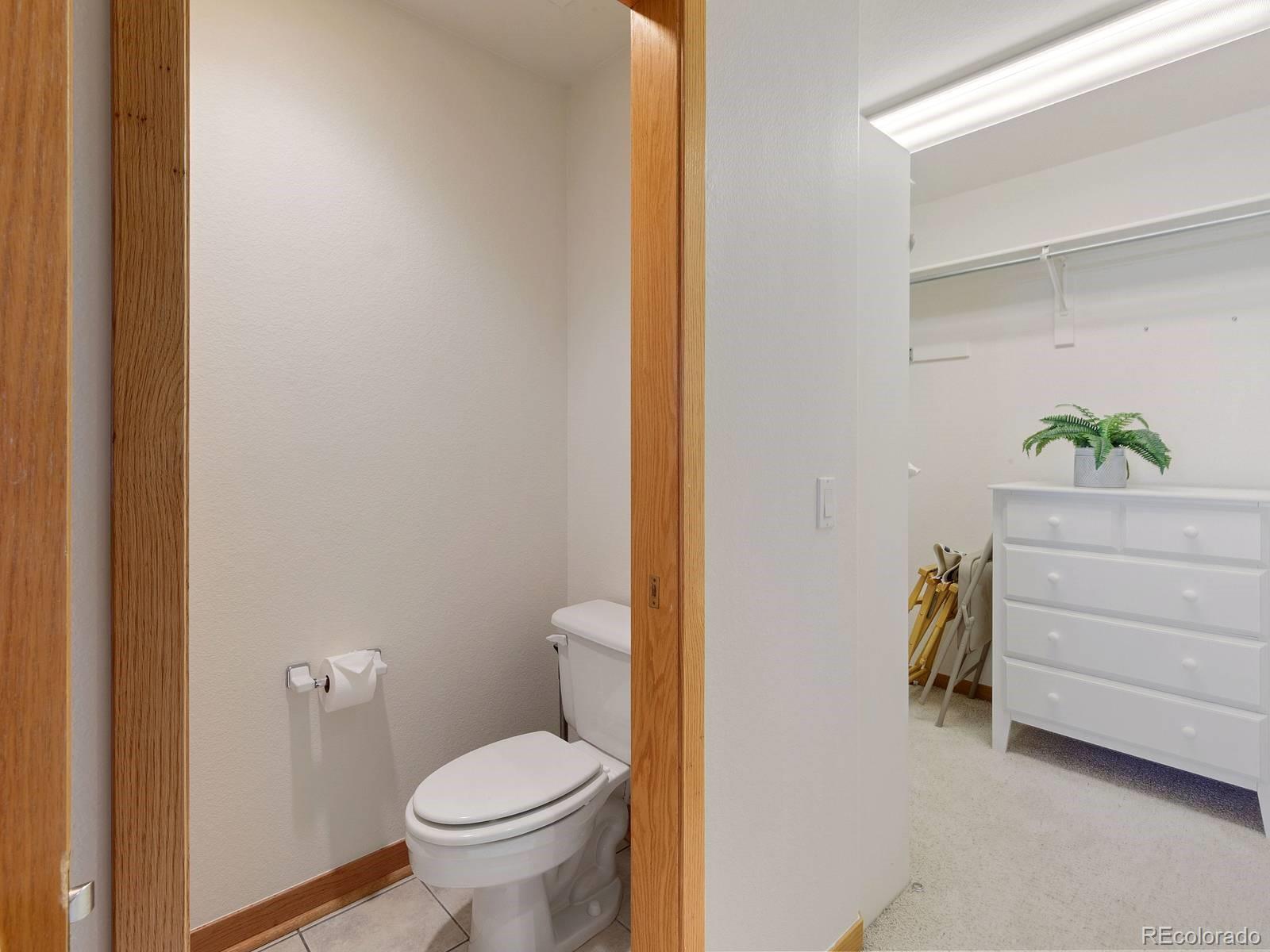 MLS Image #17 for 0251  fawn court,silverthorne, Colorado