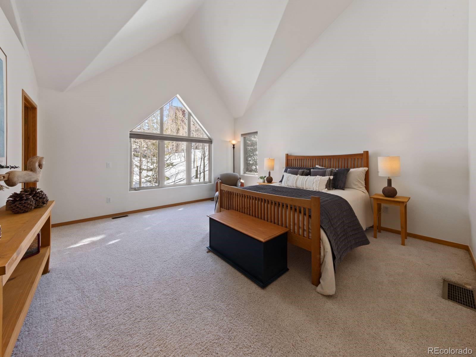 MLS Image #18 for 0251  fawn court,silverthorne, Colorado