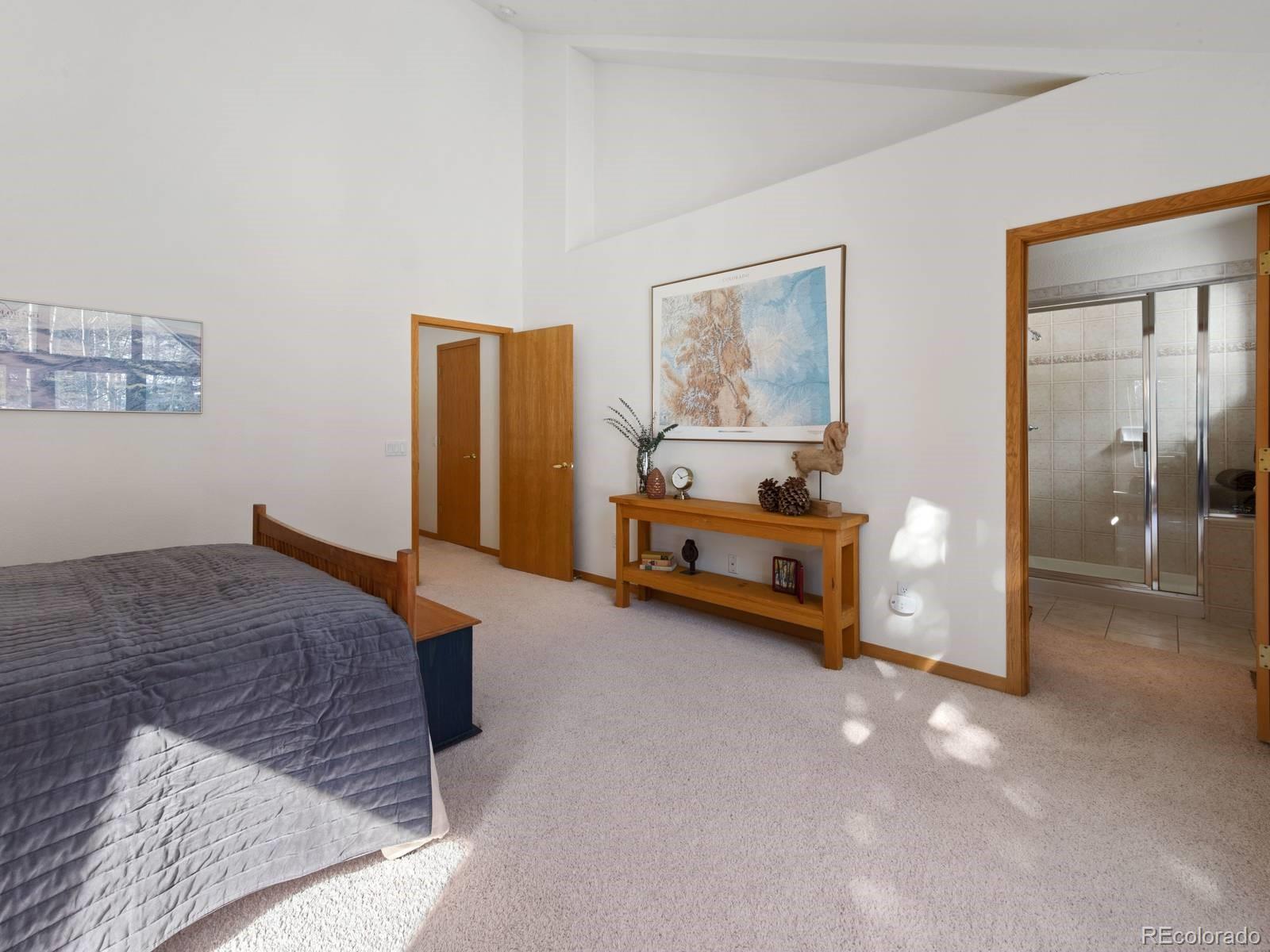 MLS Image #20 for 0251  fawn court,silverthorne, Colorado