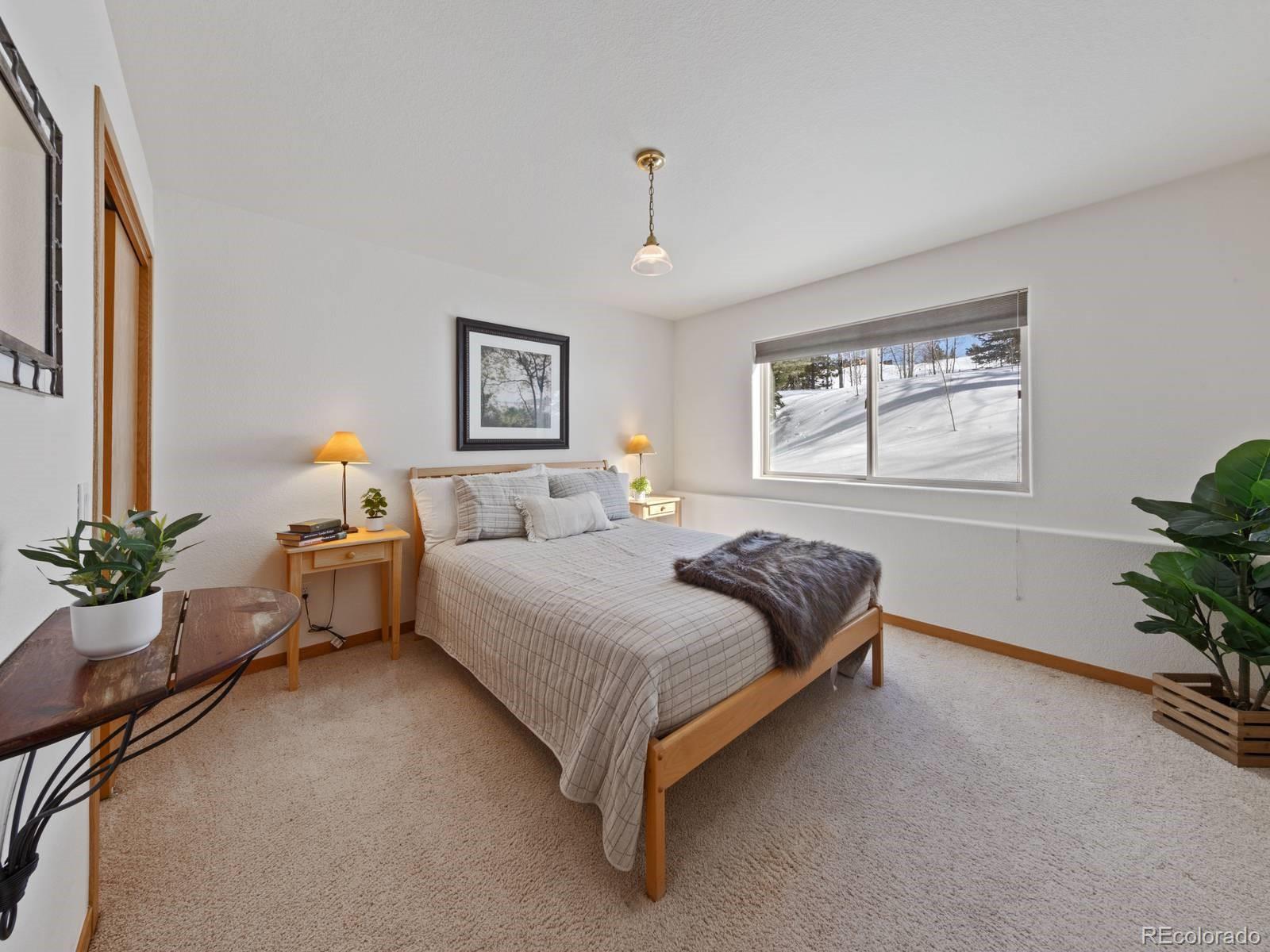 MLS Image #26 for 0251  fawn court,silverthorne, Colorado
