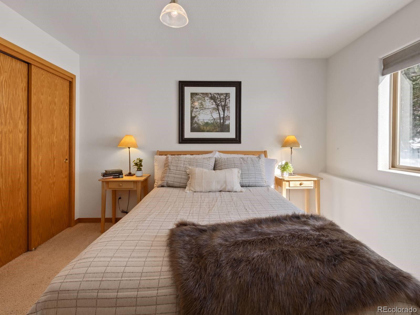 MLS Image #27 for 0251  fawn court,silverthorne, Colorado