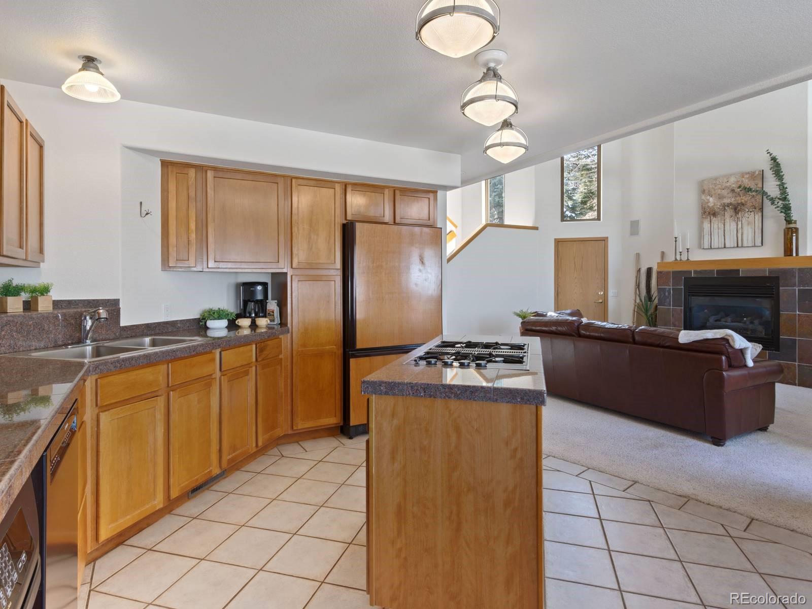 MLS Image #4 for 0251  fawn court,silverthorne, Colorado