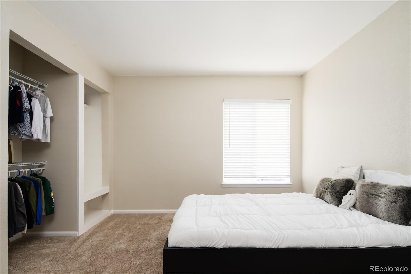 MLS Image #23 for 6787  serena avenue,castle pines, Colorado