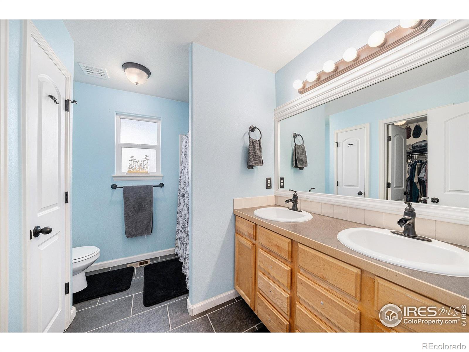 MLS Image #9 for 7347  ocean ridge street,wellington, Colorado