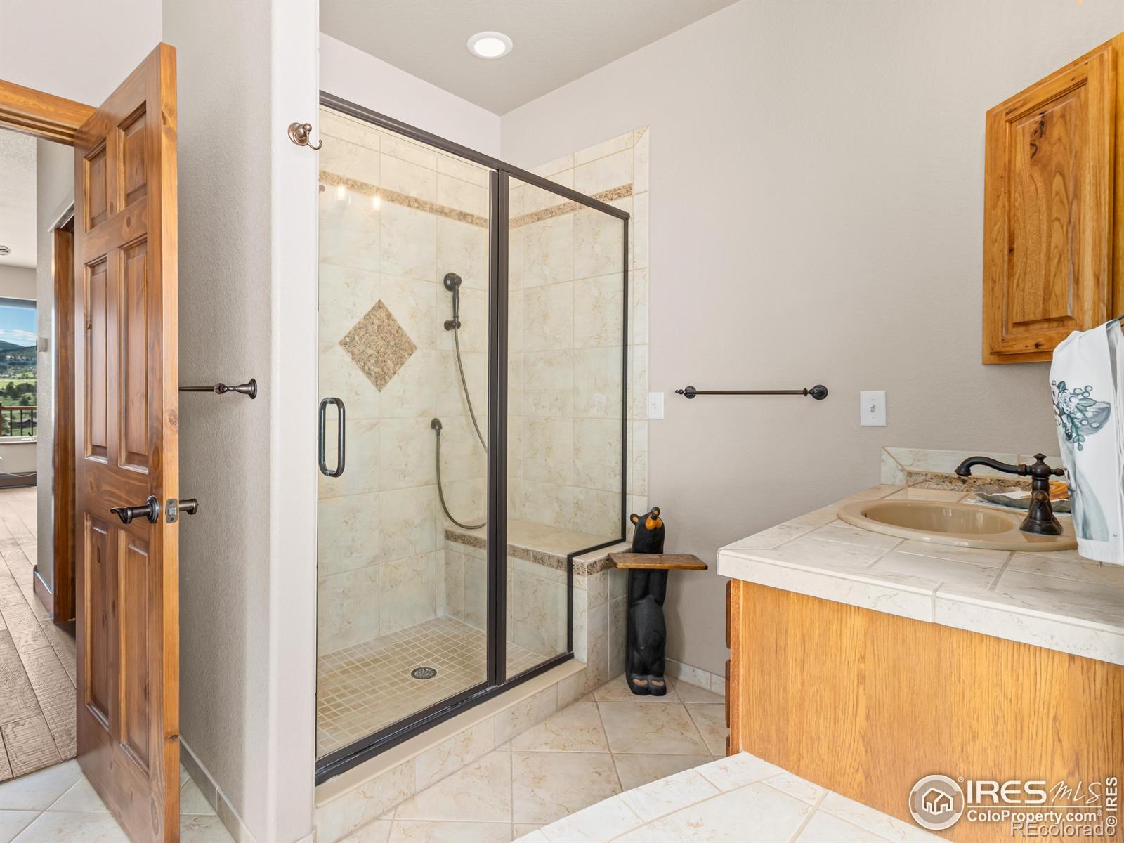 MLS Image #23 for 197  curry drive,estes park, Colorado