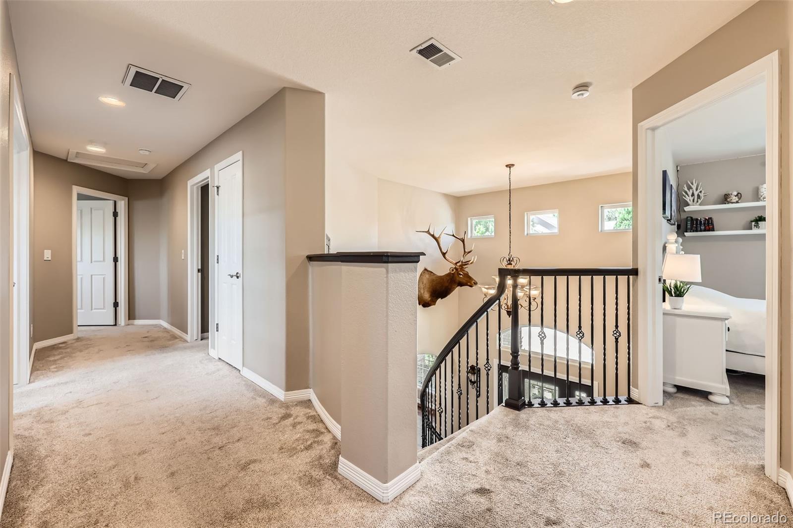 MLS Image #19 for 3400  elk run drive,castle rock, Colorado
