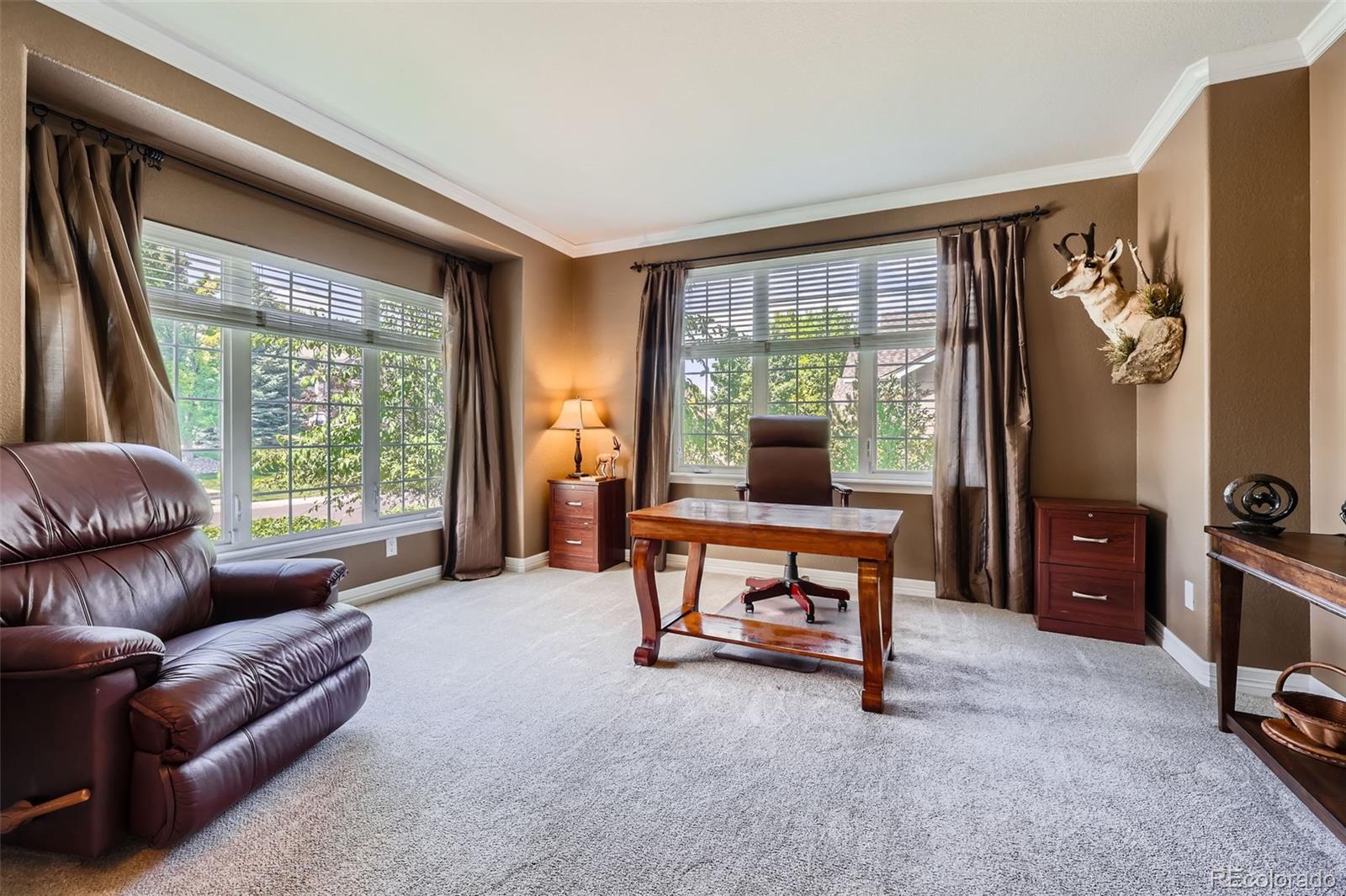 MLS Image #8 for 3400  elk run drive,castle rock, Colorado