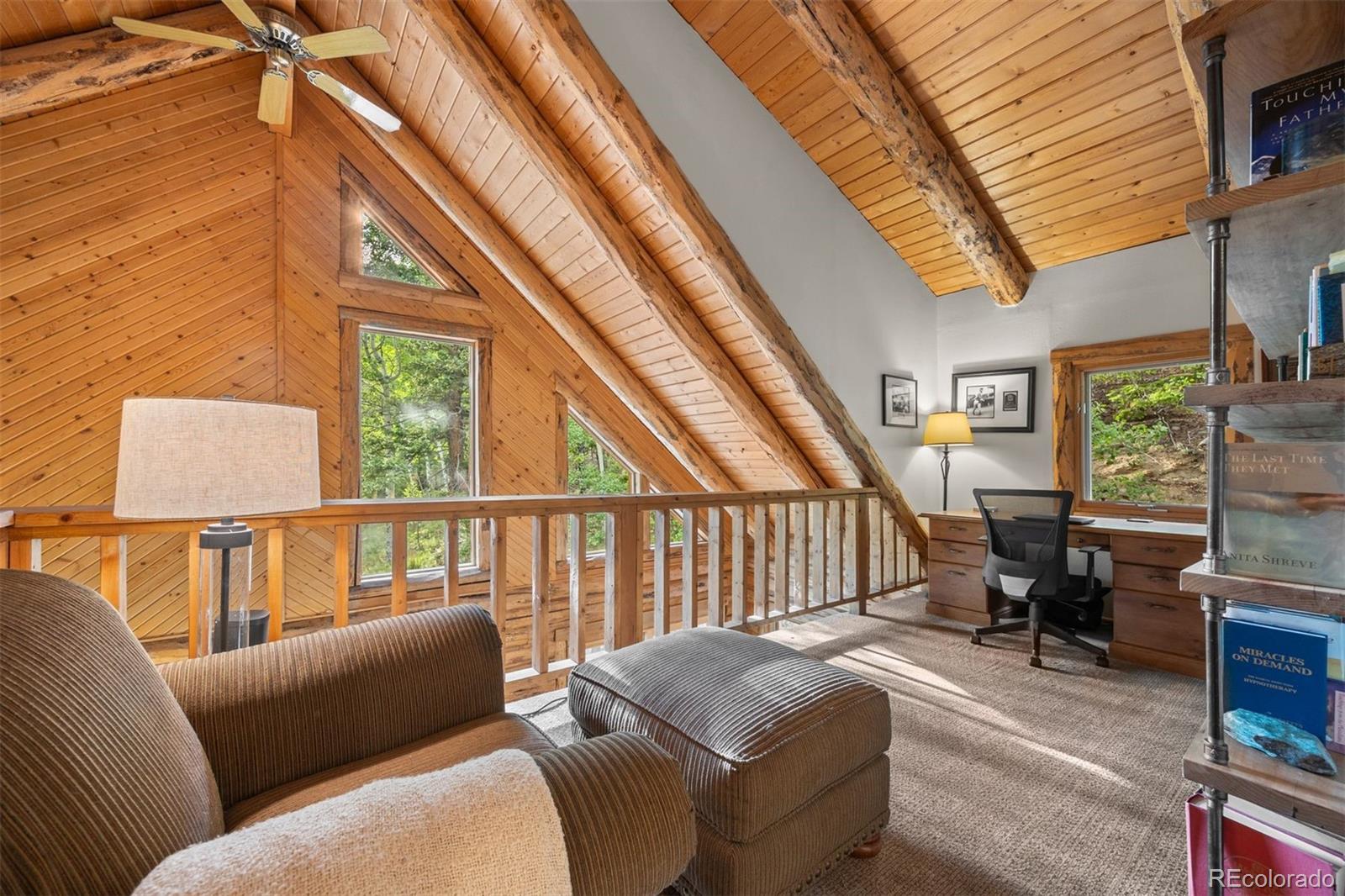 MLS Image #15 for 80  spruce court,evergreen, Colorado