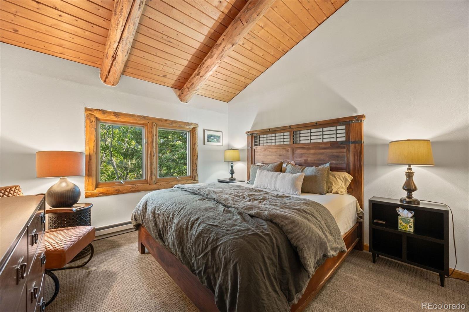 MLS Image #24 for 80  spruce court,evergreen, Colorado