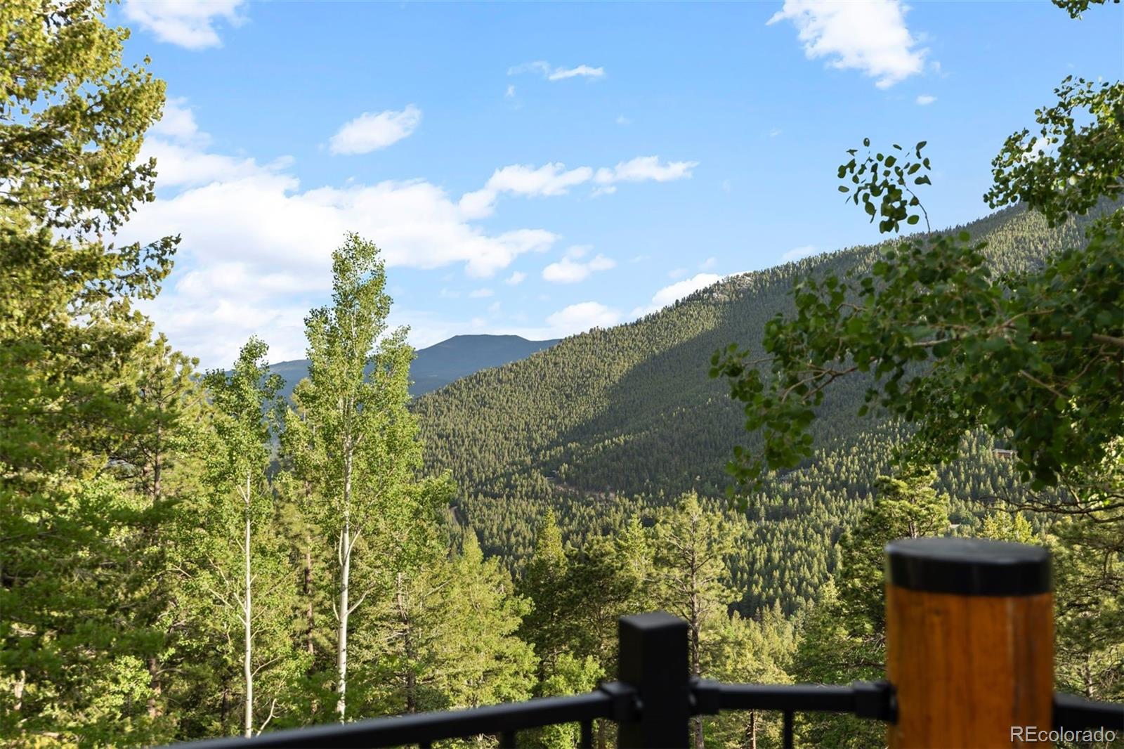 MLS Image #28 for 80  spruce court,evergreen, Colorado