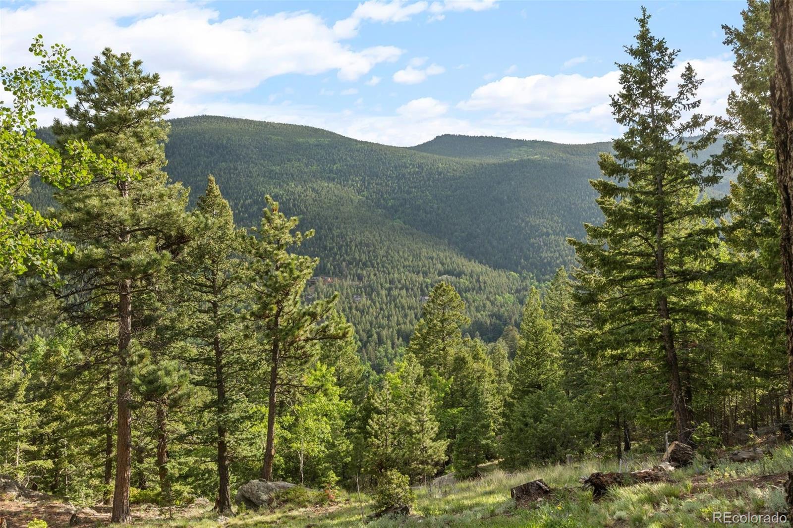 MLS Image #31 for 80  spruce court,evergreen, Colorado