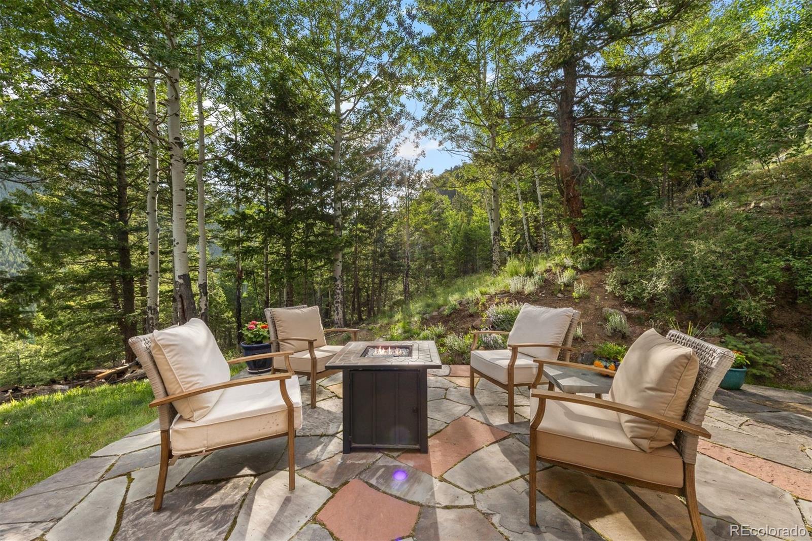 MLS Image #35 for 80  spruce court,evergreen, Colorado