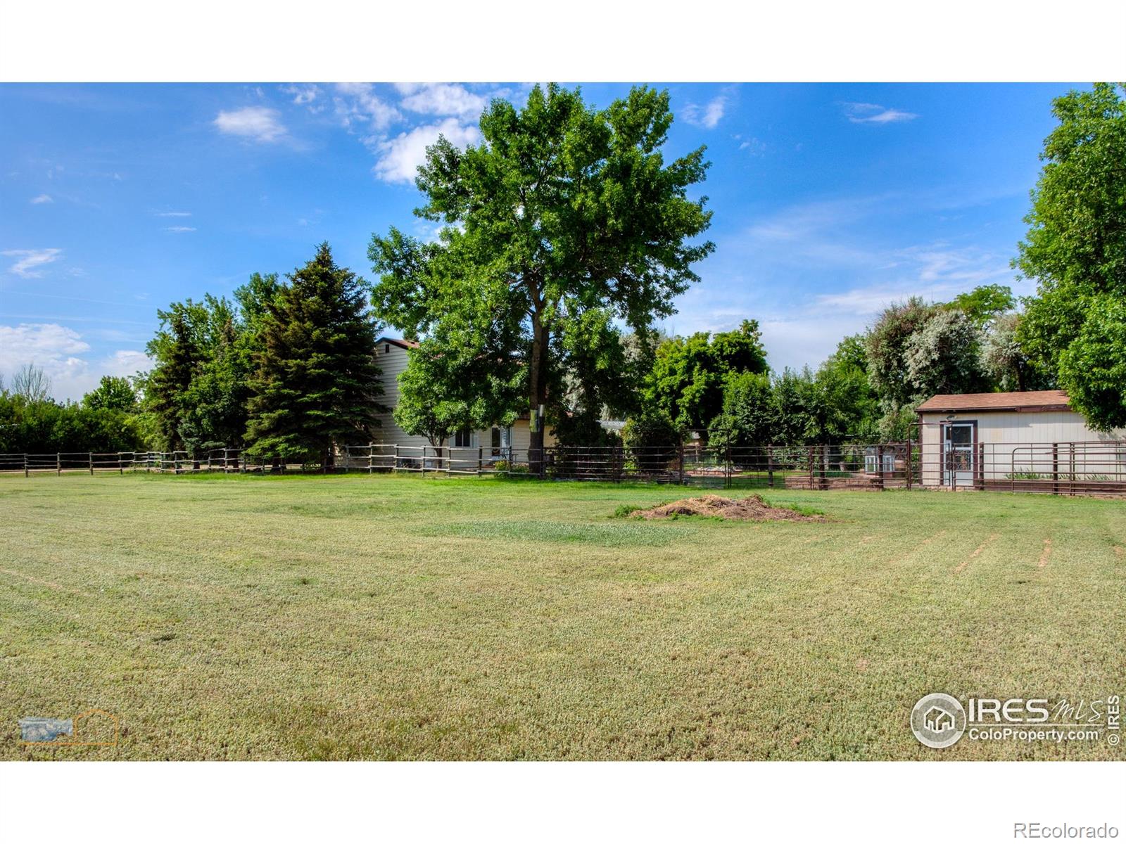 MLS Image #18 for 1813  pikes peak street,erie, Colorado