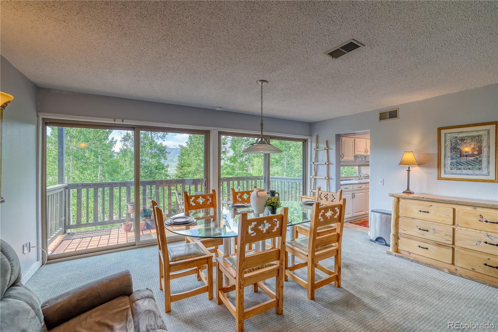 MLS Image #10 for 2510  ryan gulch road,silverthorne, Colorado