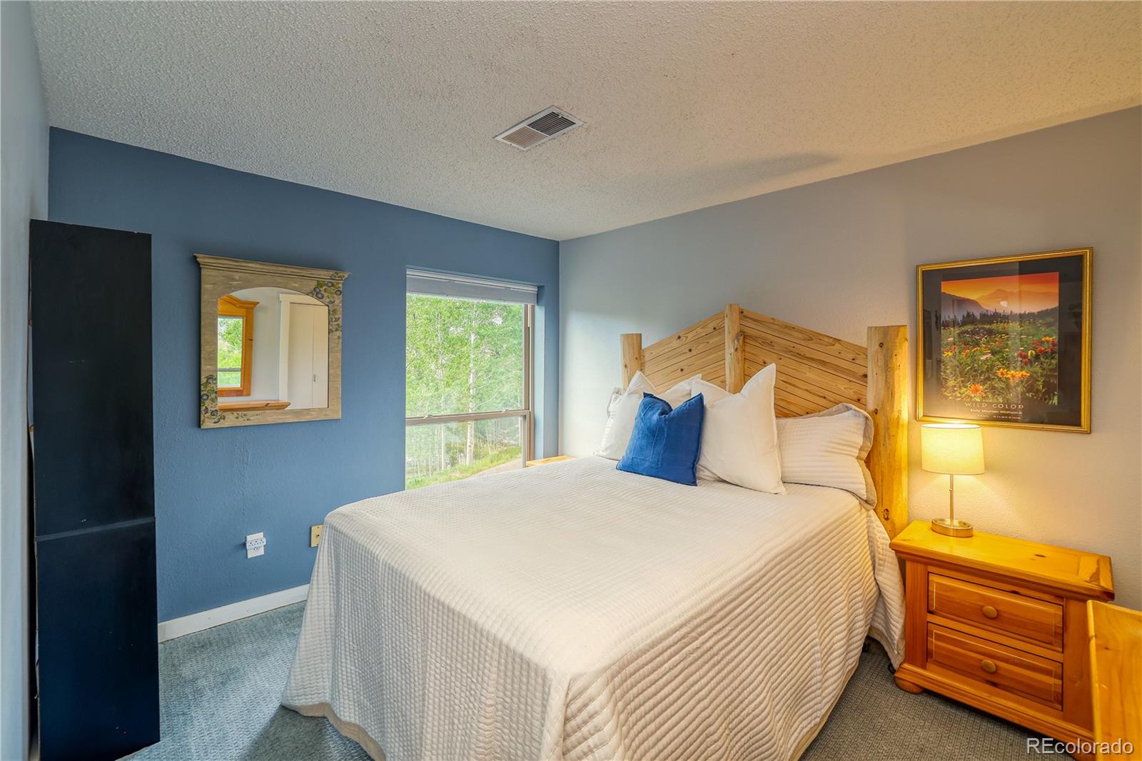 MLS Image #20 for 2510  ryan gulch road,silverthorne, Colorado