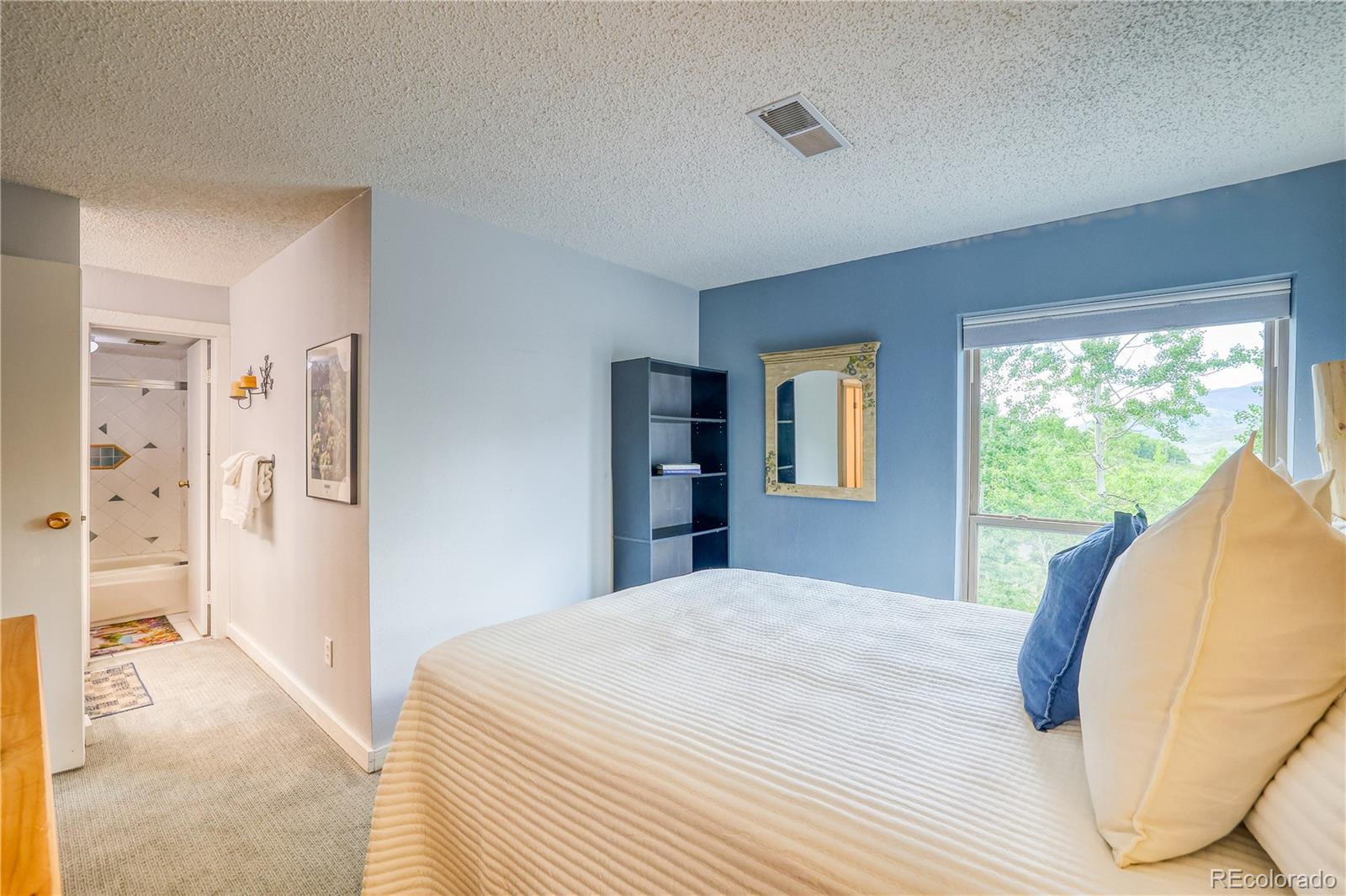 MLS Image #21 for 2510  ryan gulch road,silverthorne, Colorado
