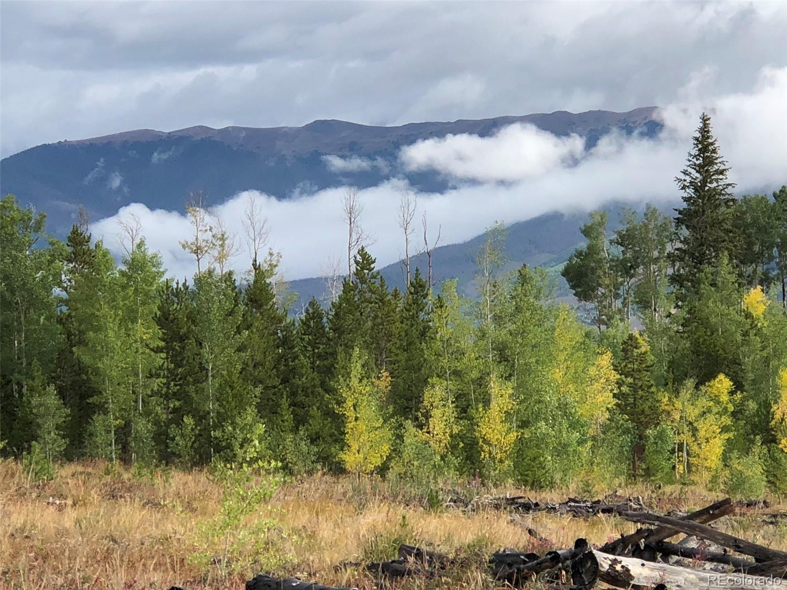 MLS Image #28 for 2510  ryan gulch road,silverthorne, Colorado