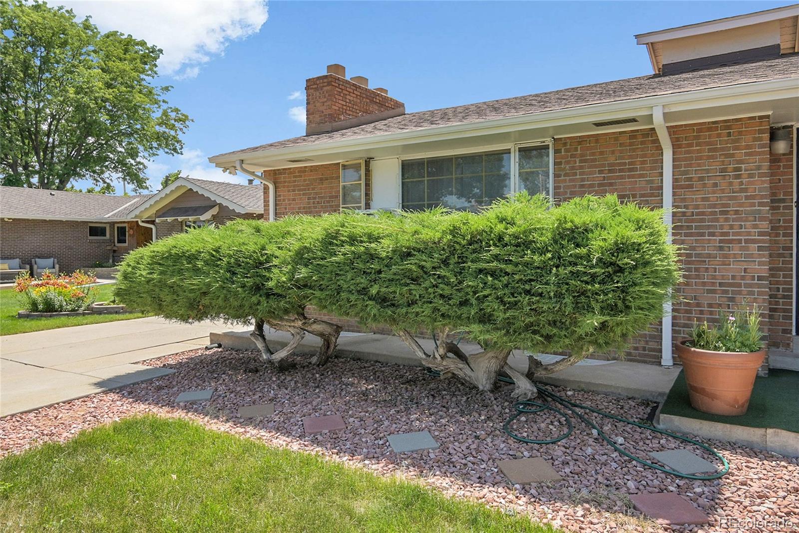 MLS Image #2 for 4705  upham street,wheat ridge, Colorado