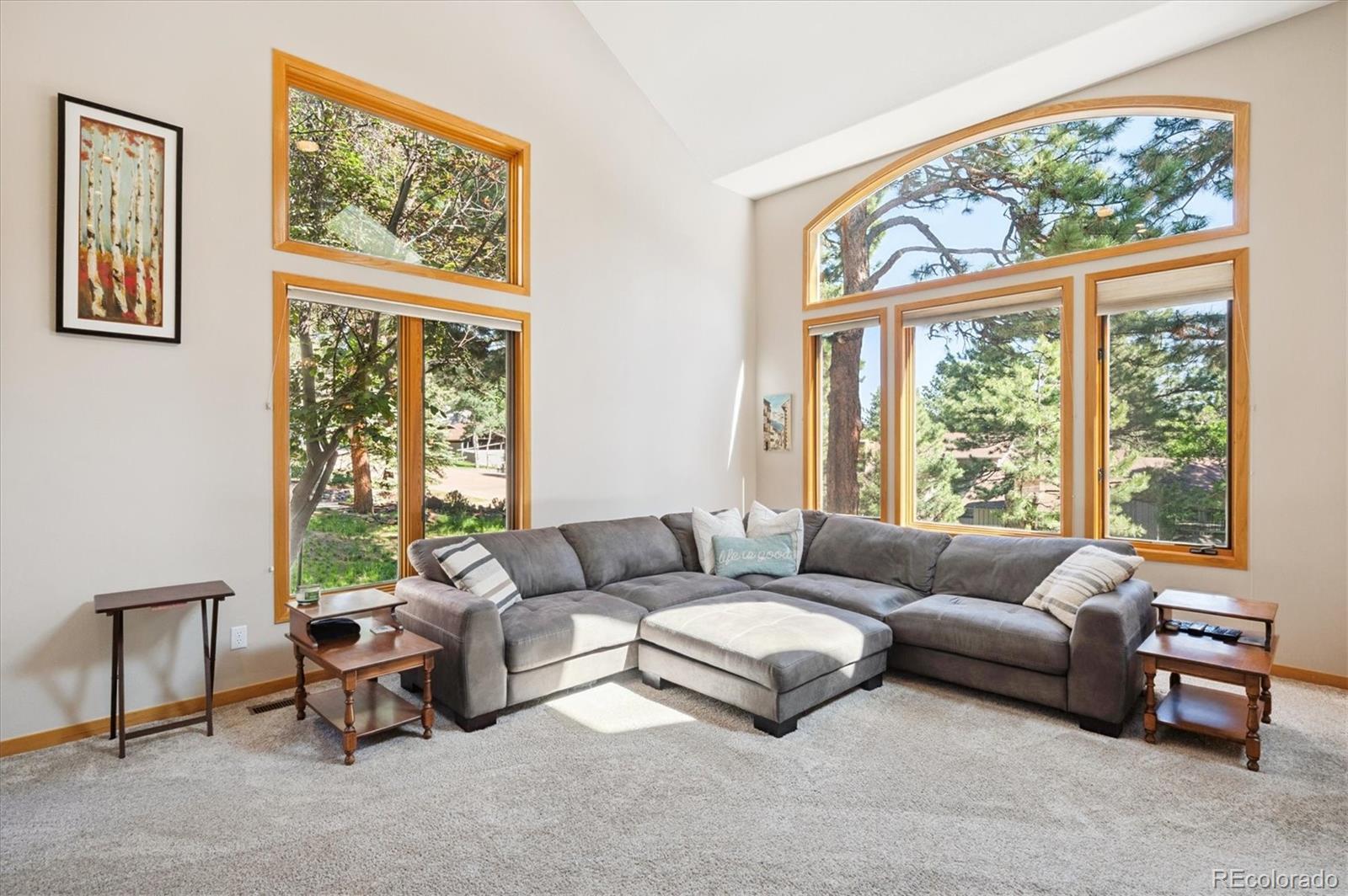 MLS Image #10 for 2397  hearth drive,evergreen, Colorado