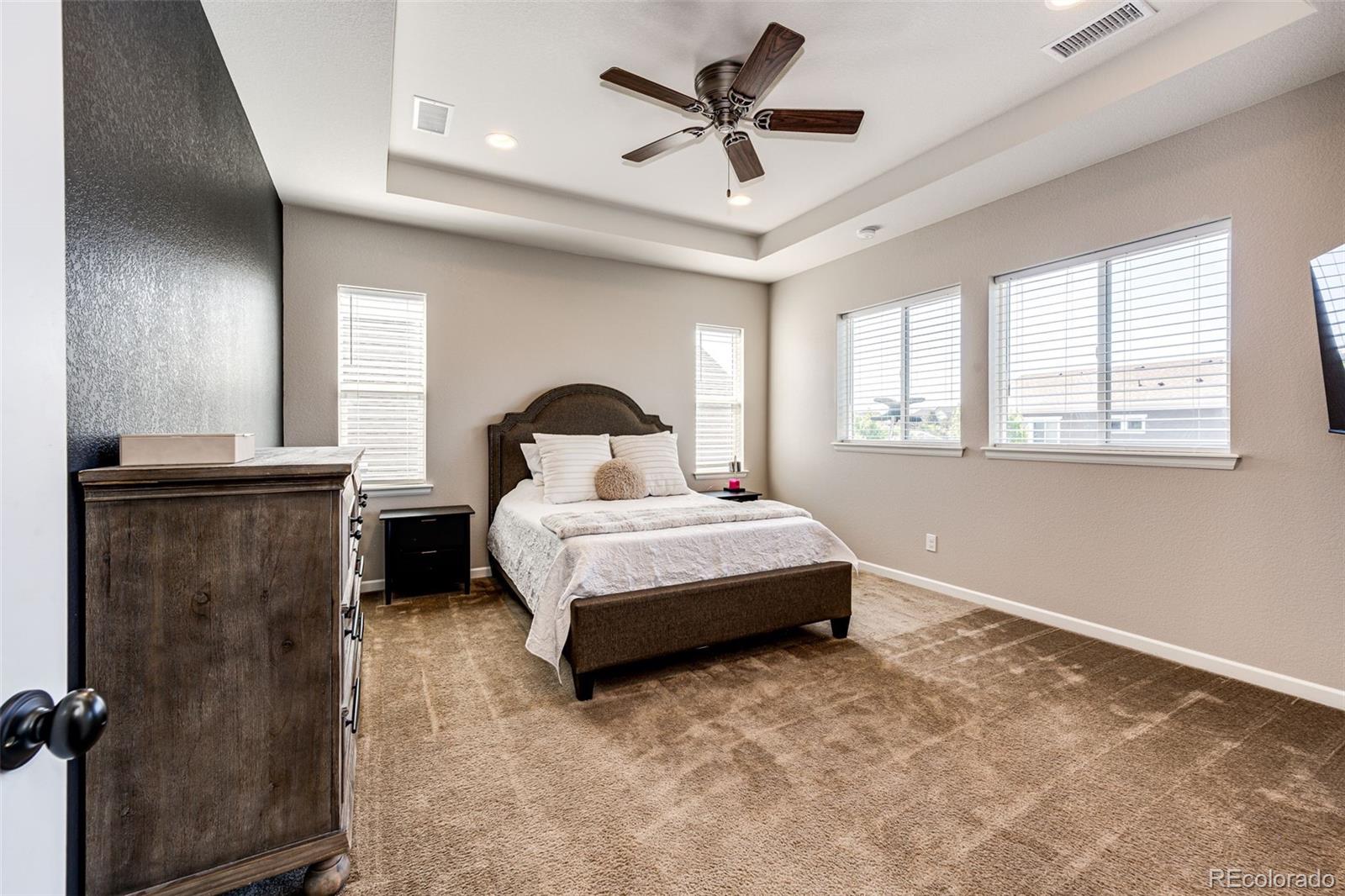 MLS Image #21 for 3966  long rifle drive,castle rock, Colorado