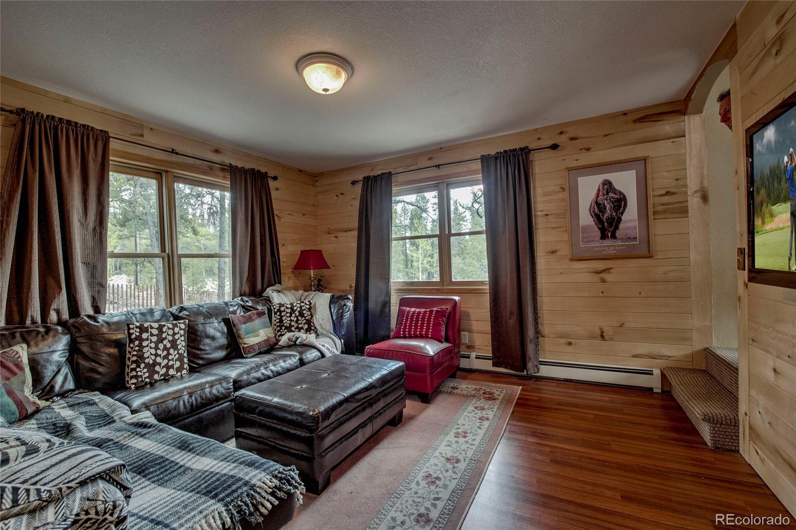 MLS Image #17 for 2506  cr-1 ,fairplay, Colorado