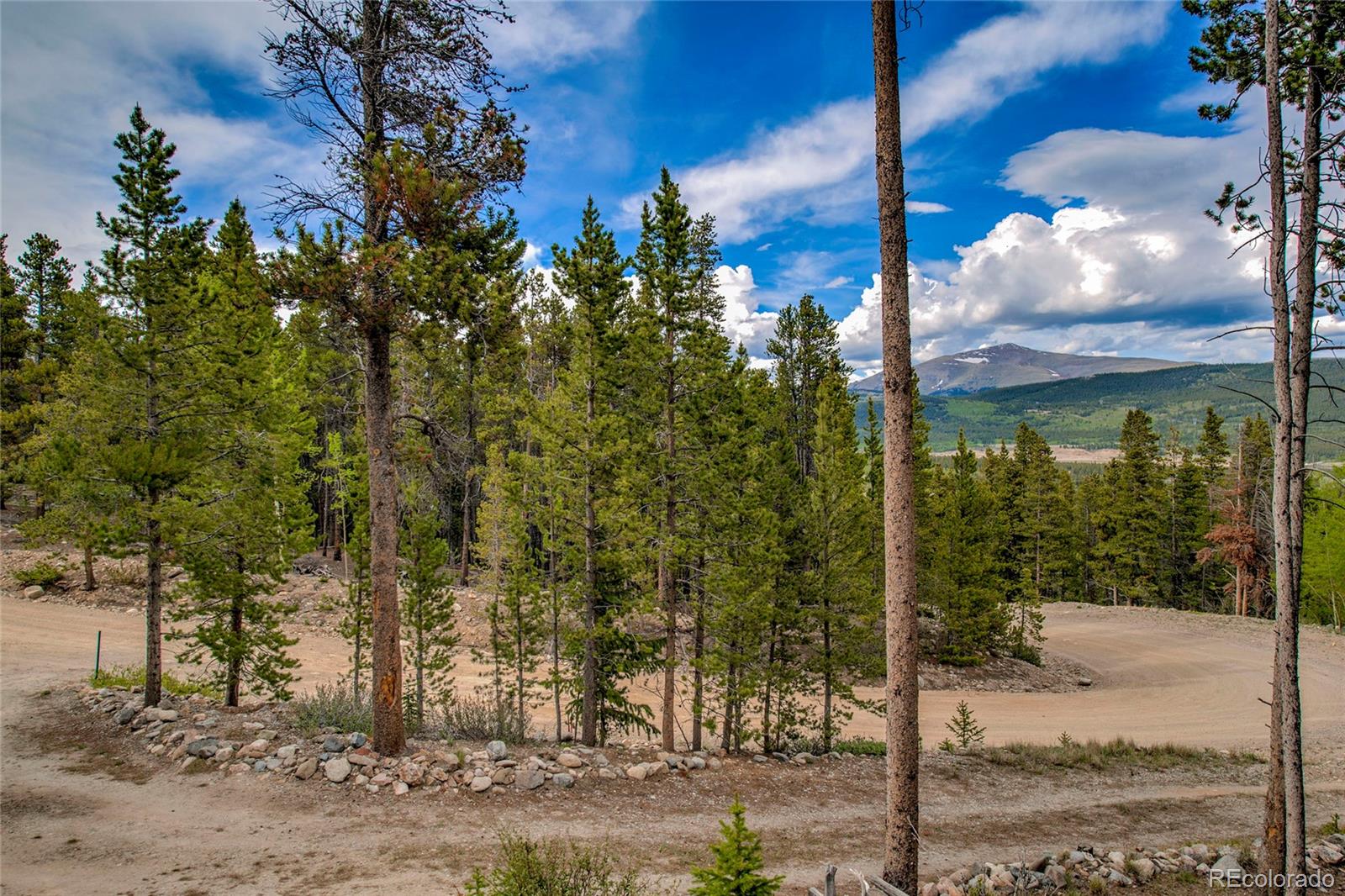 MLS Image #2 for 2506  cr-1 ,fairplay, Colorado