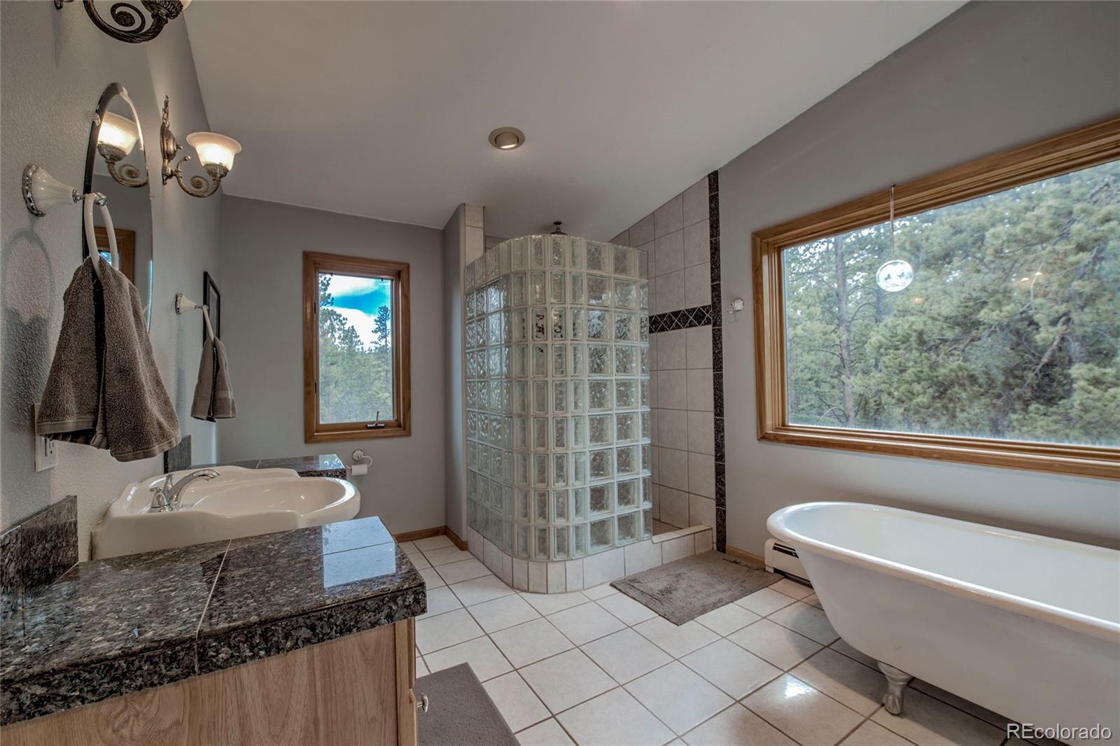 MLS Image #29 for 2506  cr-1 ,fairplay, Colorado