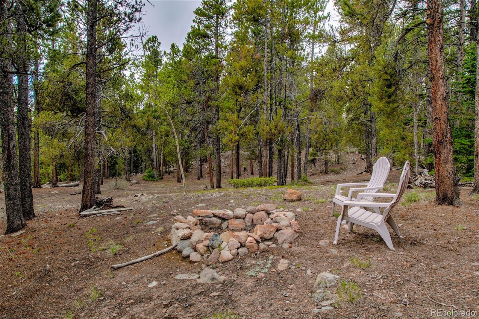 MLS Image #6 for 2506  cr-1 ,fairplay, Colorado