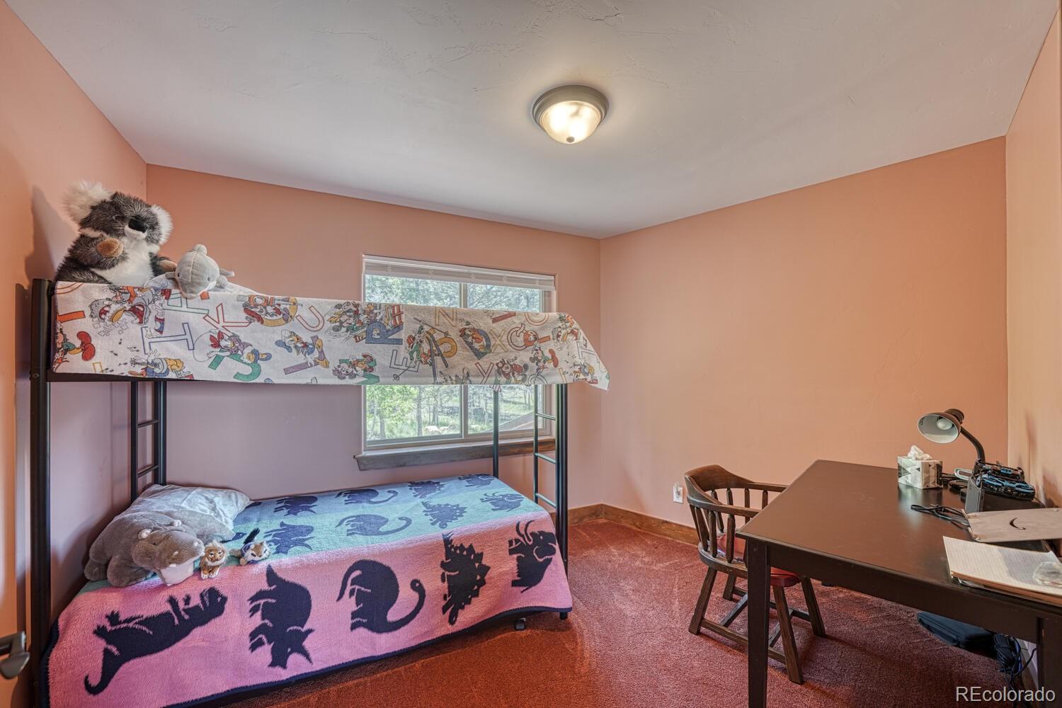 MLS Image #30 for 441  kaufman road,hartsel, Colorado